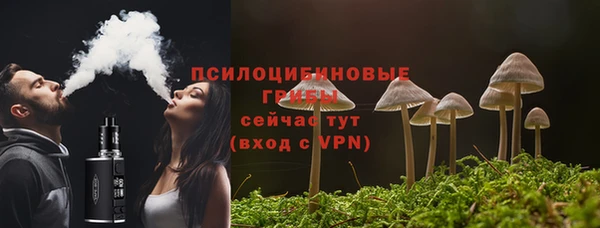 прущий лед Заводоуковск