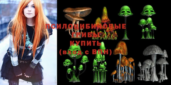 прущий лед Заводоуковск