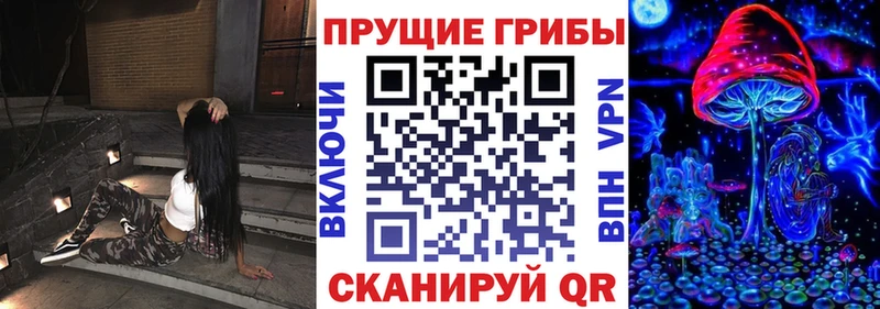 Галлюциногенные грибы прущие грибы  Купить  Алапаевск 